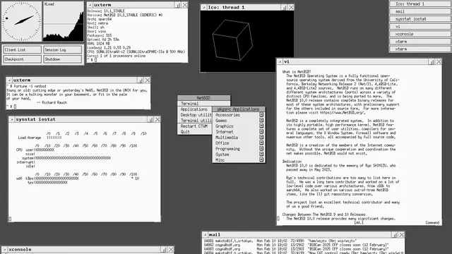 Default CTWM desktop of NetBSD 10.1 running on an UltraSPARC workstation with several base applications open