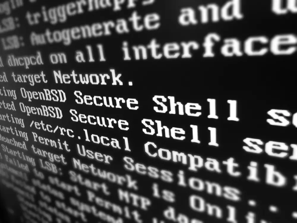 OpenBSD starting the SSH server in the console