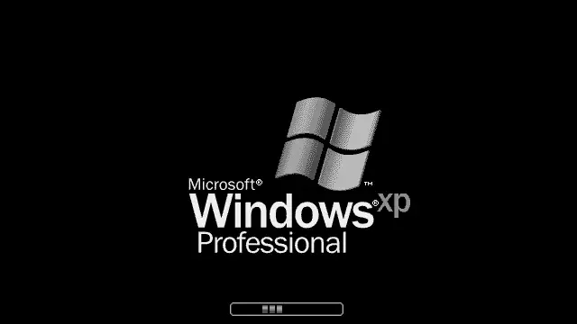 Windows XP Professional boot screen showing the logo and blue progress bar on a black background